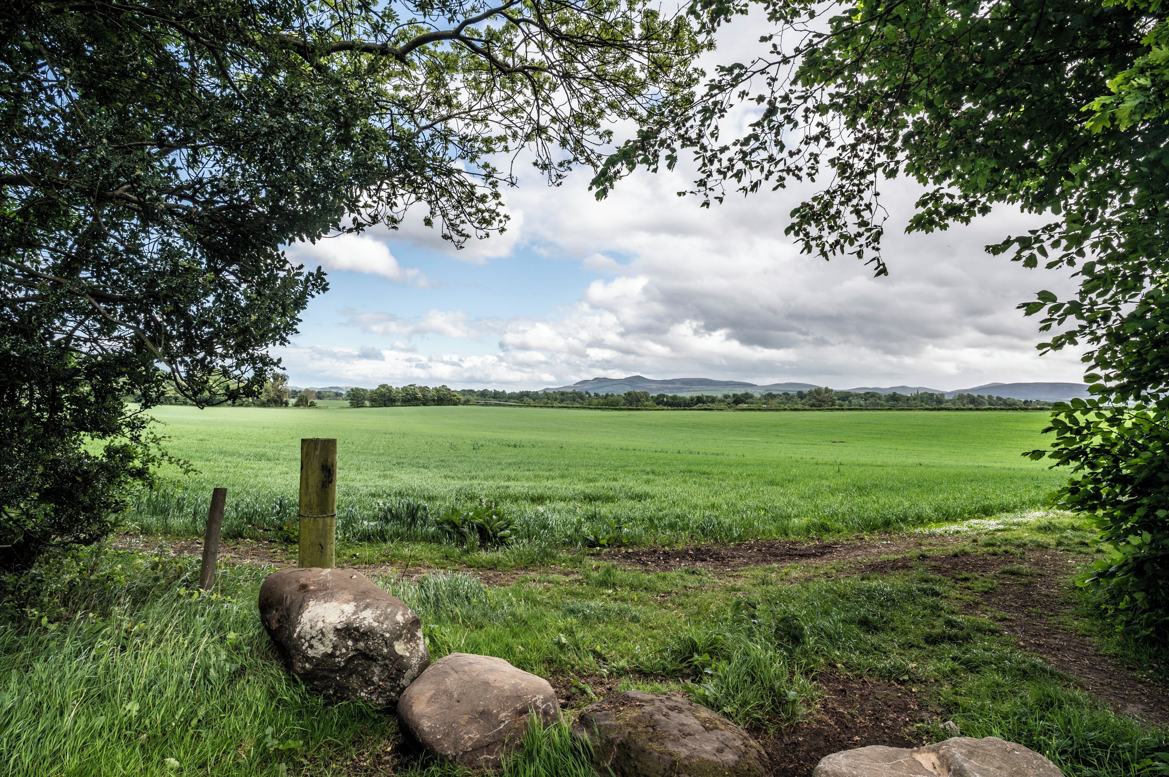 A rural landscape with a grassy field, a wooden fence, and a distant mountain range.