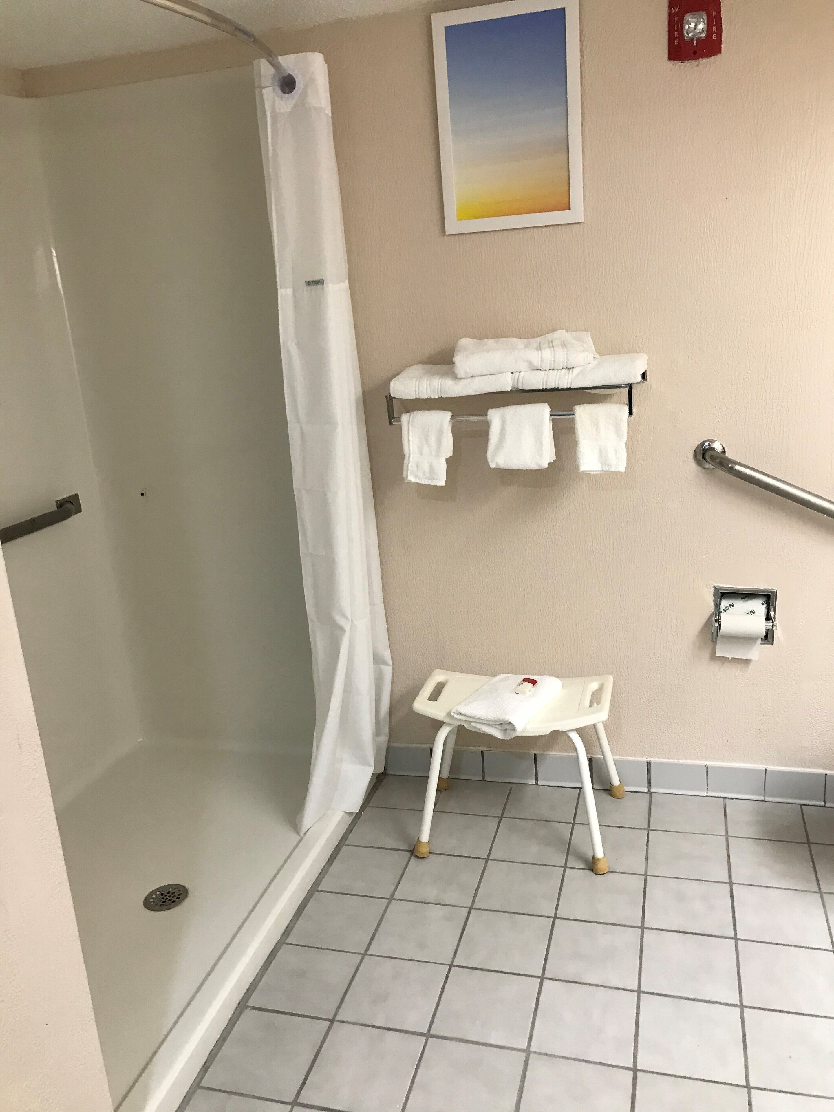 Un baño con ducha, un perchero con toallas, un pasamanos y un dispensador de papel higiénico.