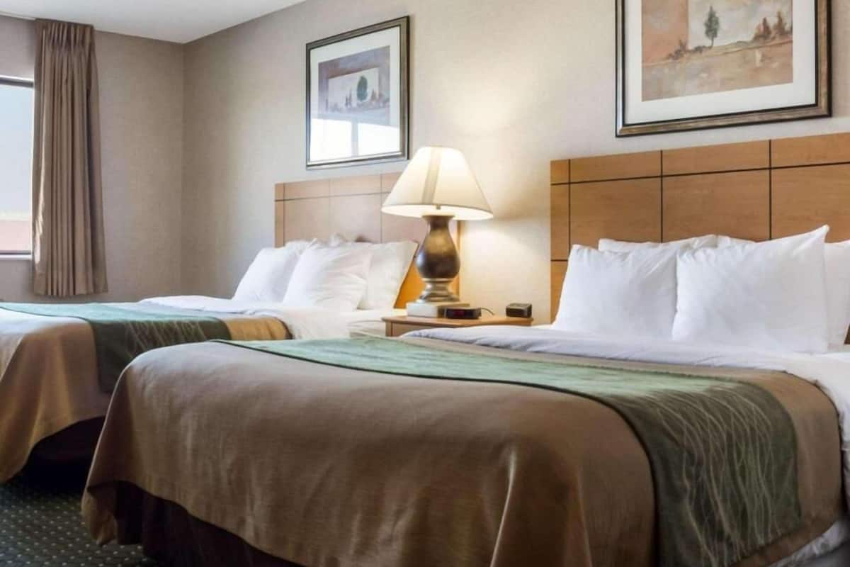 Ropa de cama de alta calidad, escritorio y insonorización