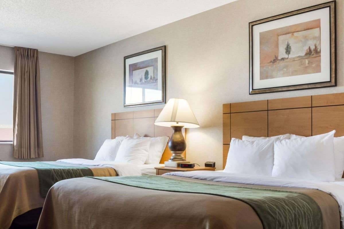 A hotel room with two beds, a nightstand, a lamp, and two framed pictures on the wall.