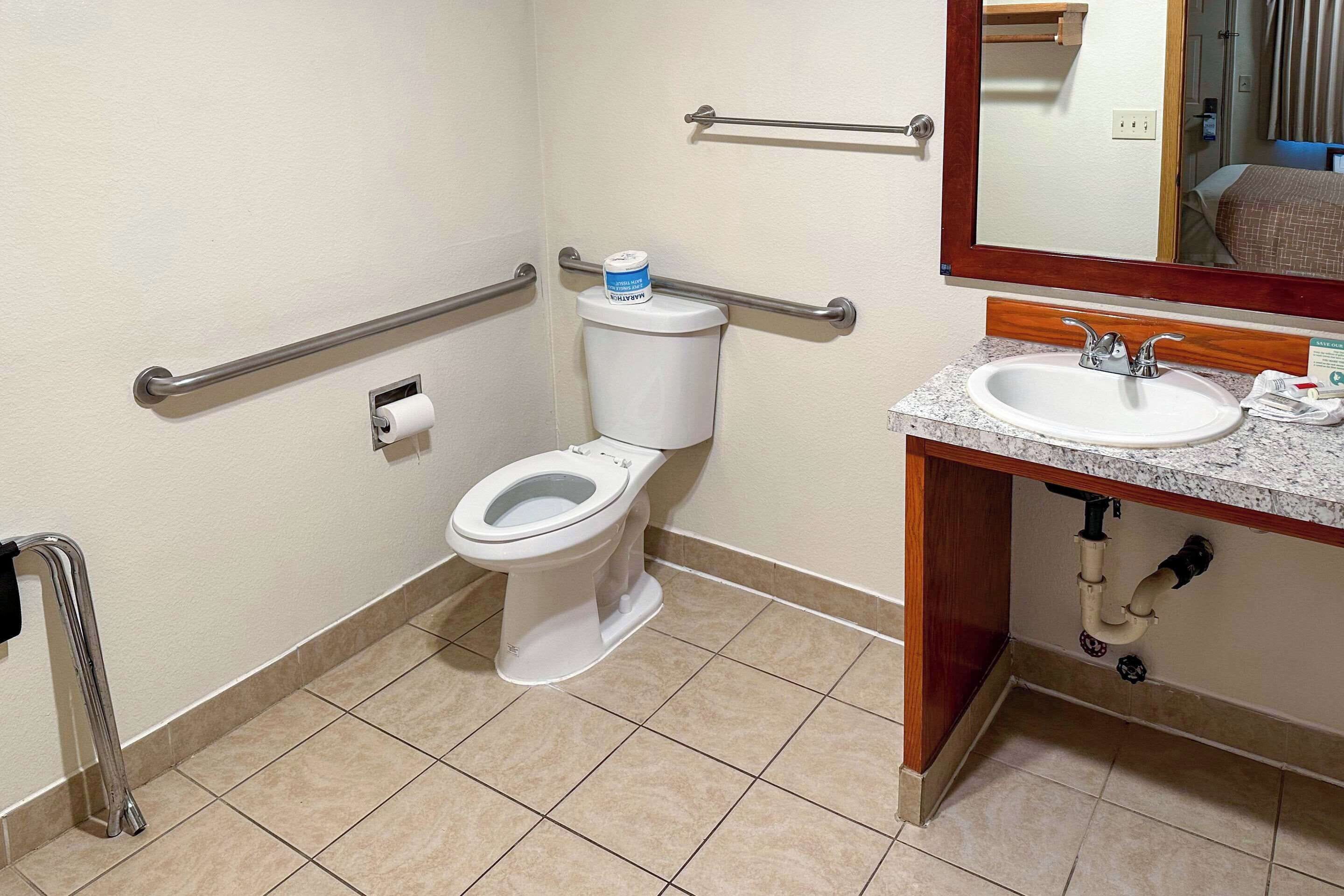 Ein Badezimmer mit Toilette, Haltegriffen, Waschbecken und Spiegel.