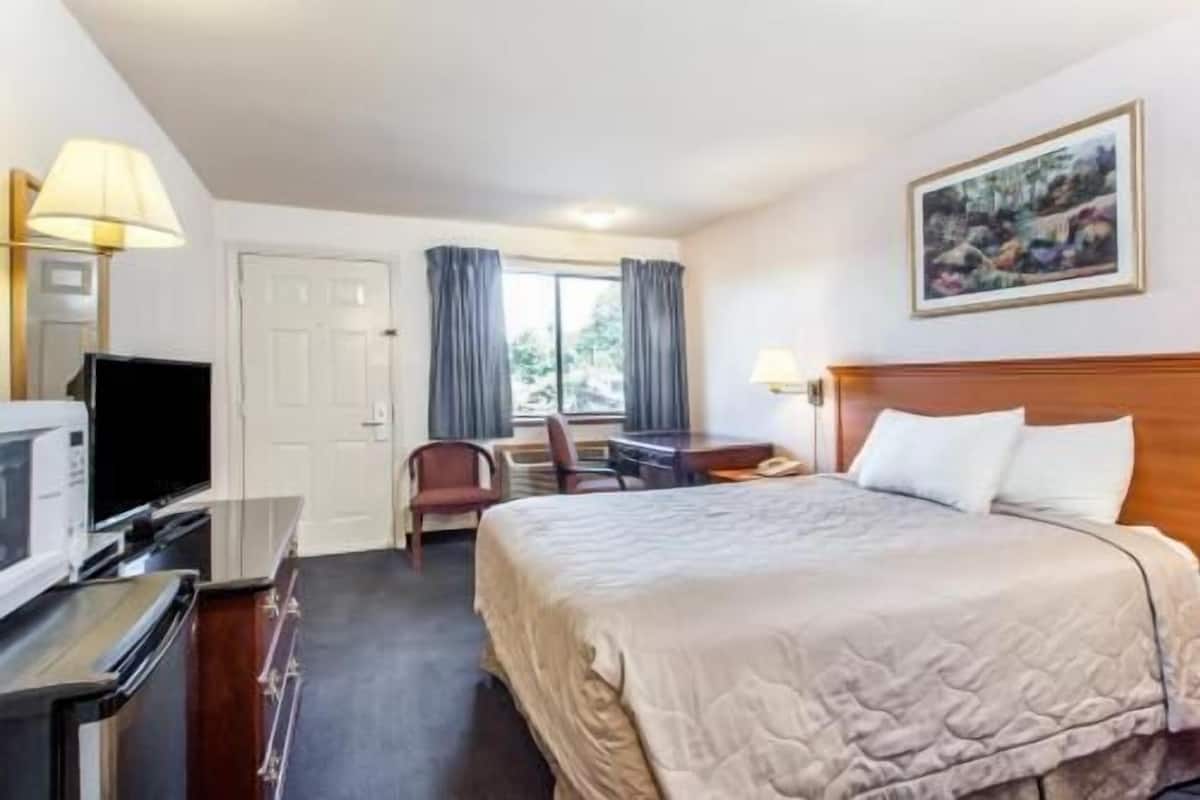 Habitación de hotel con cama, escritorio, silla, televisor y un cuadro en la pared.