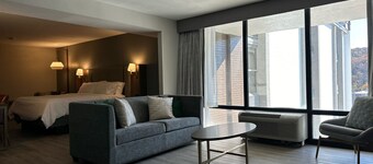 Holiday Inn Roanoke-Tanglewood-Rt 419&i581 by IHG