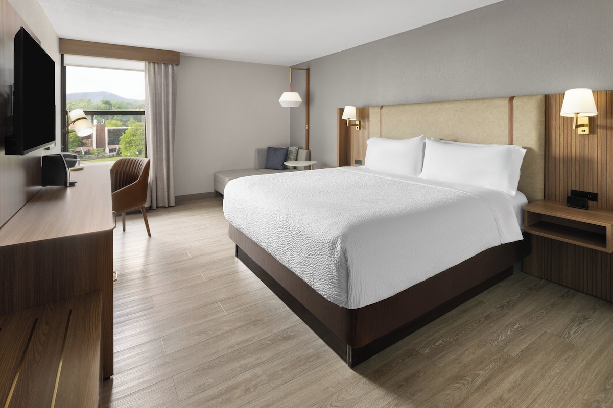 A hotel room with a large bed, a desk, a chair, a television, and a view of the outdoors.