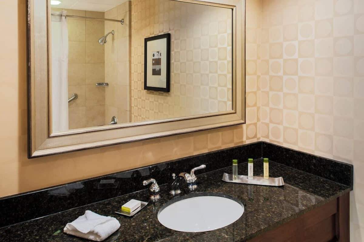 Combined shower/tub, free toiletries, hair dryer, towels