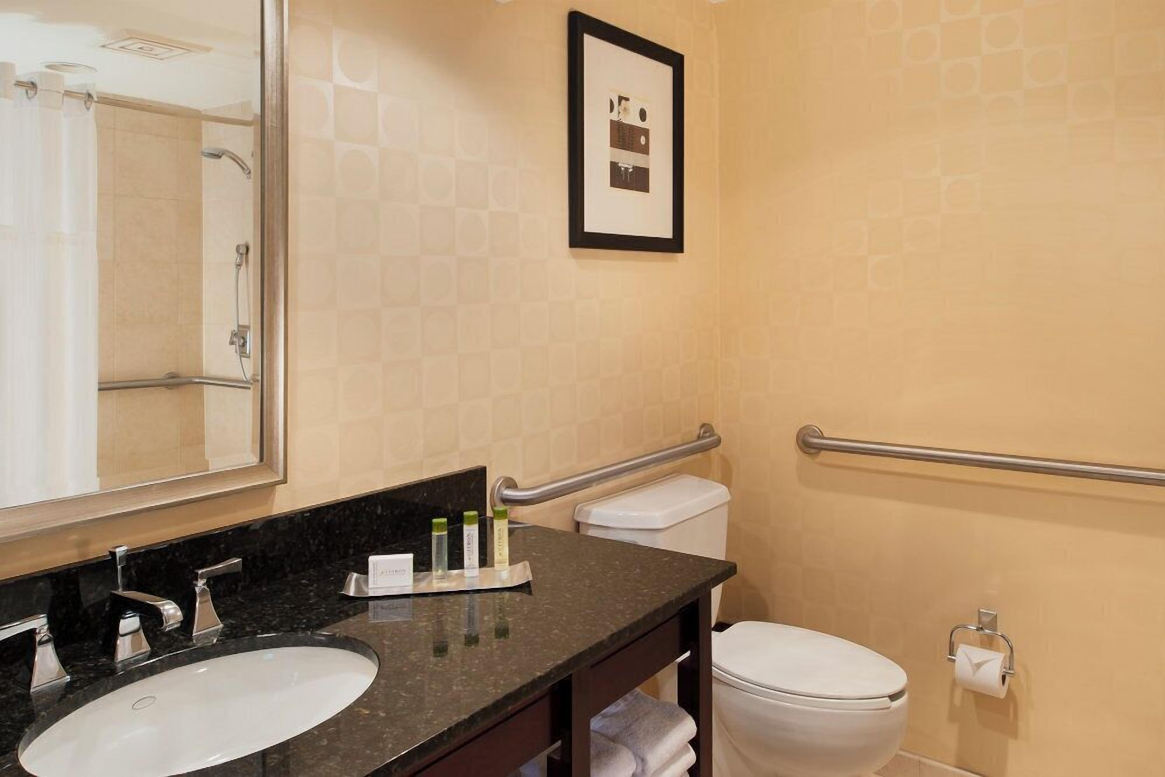 Une salle de bain équipée d’un lavabo, d’un miroir, de toilettes et de barres d’appui.