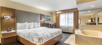 Best Western Airpark Hotel - LAX Airport LA  Stadium