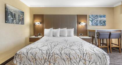 Best Western Airpark Hotel - LAX Airport LA Stadium