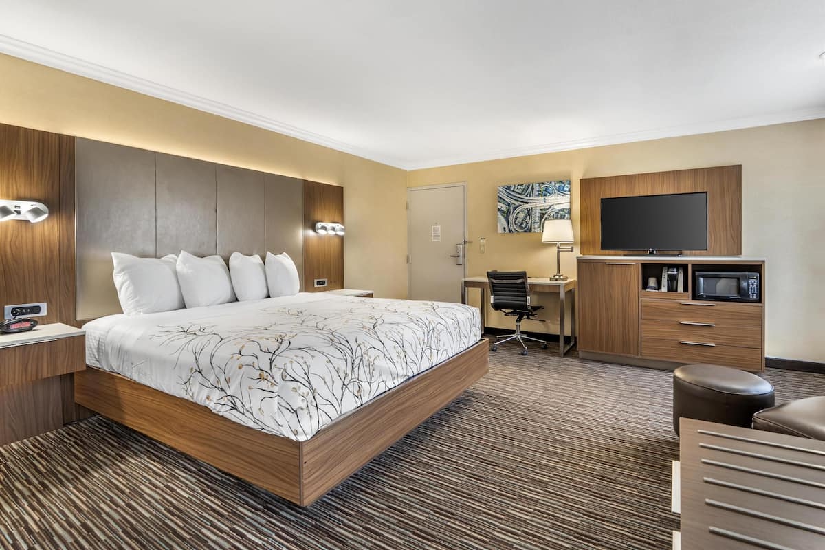 A hotel room with a large bed, a desk with a chair, a television, and a microwave.