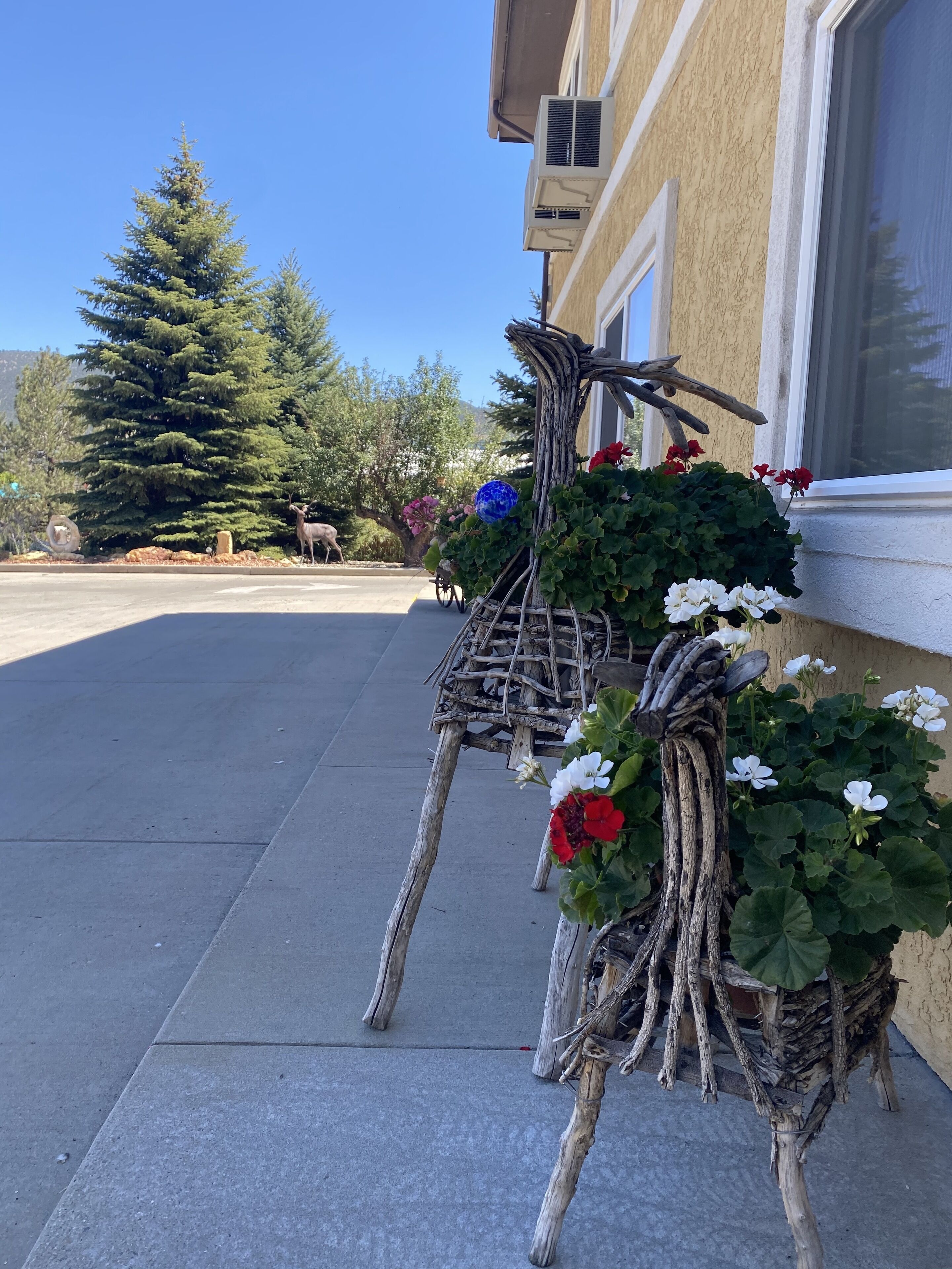 Un edificio con un gran ventanal, acera de hormigón y un arreglo de plantas decorativas al costado.