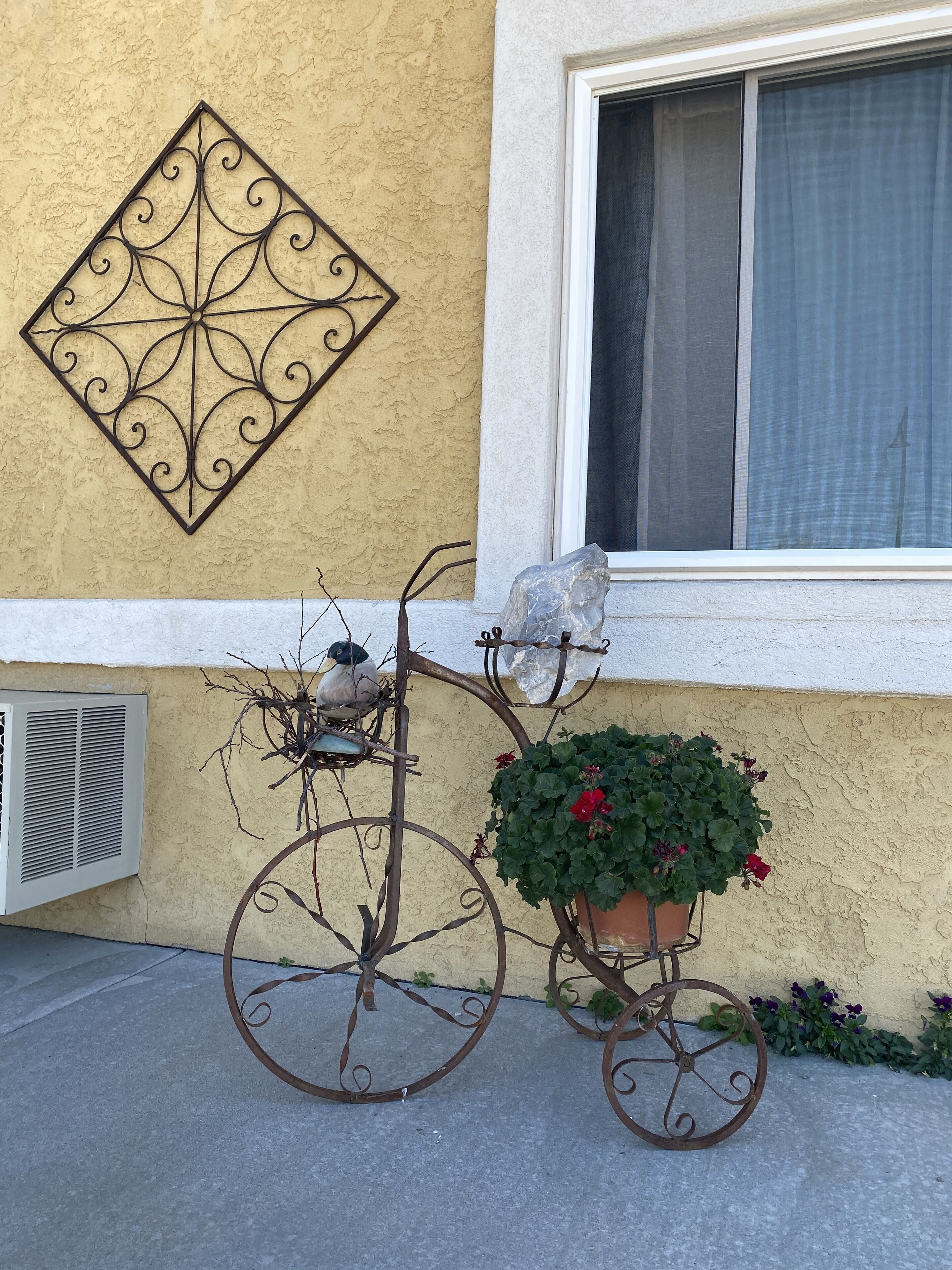 A vintage bicycle with a basket and a potted plant against a textured wall.