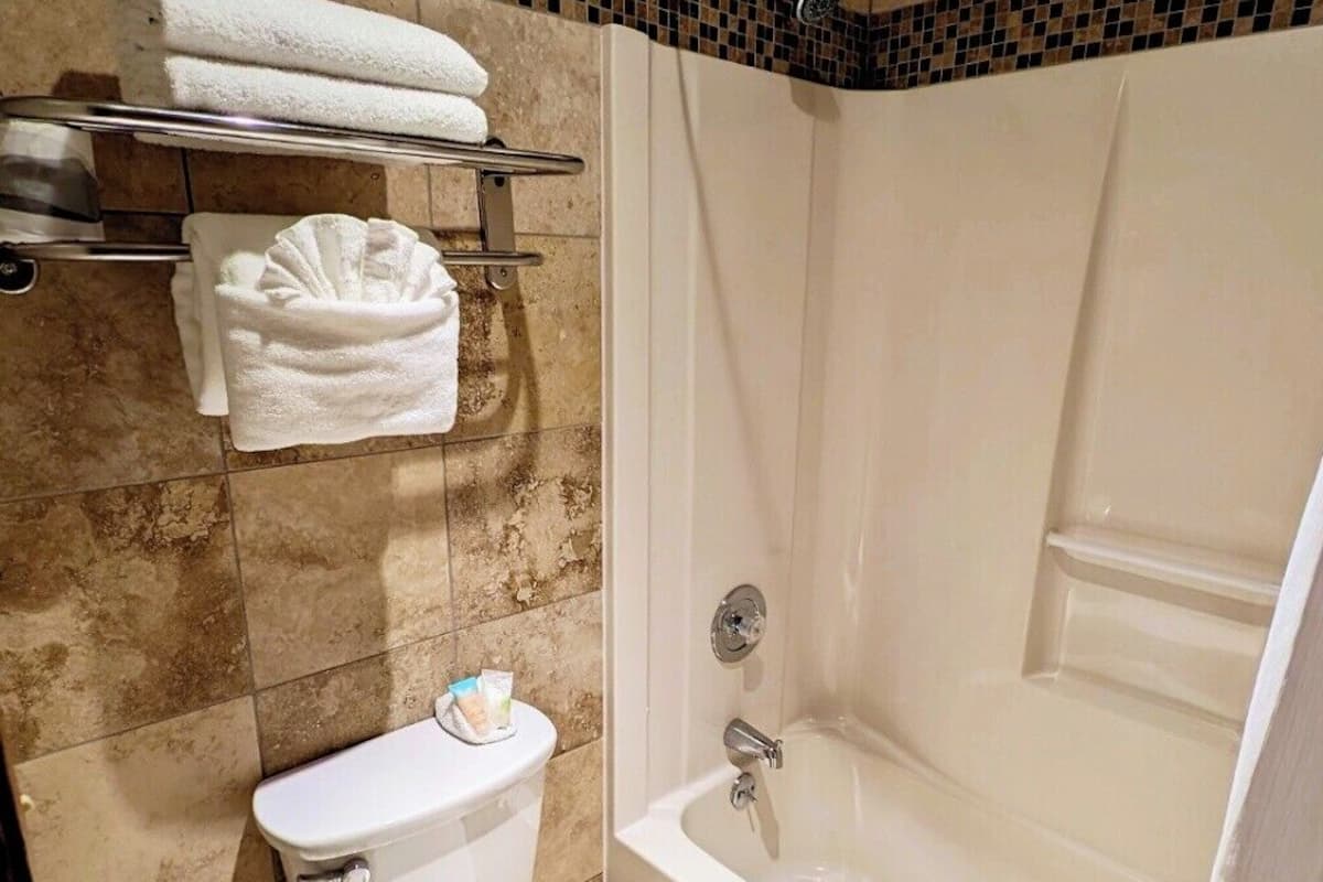 combined shower/bathtub, free toiletries, hair dryer, towels