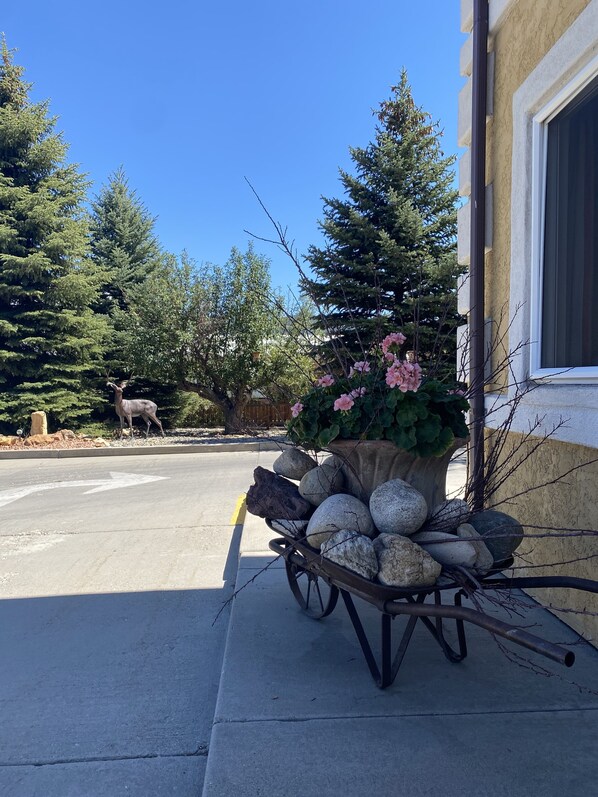 A wheelbarrow with rocks and a potted plant on a sidewalk.