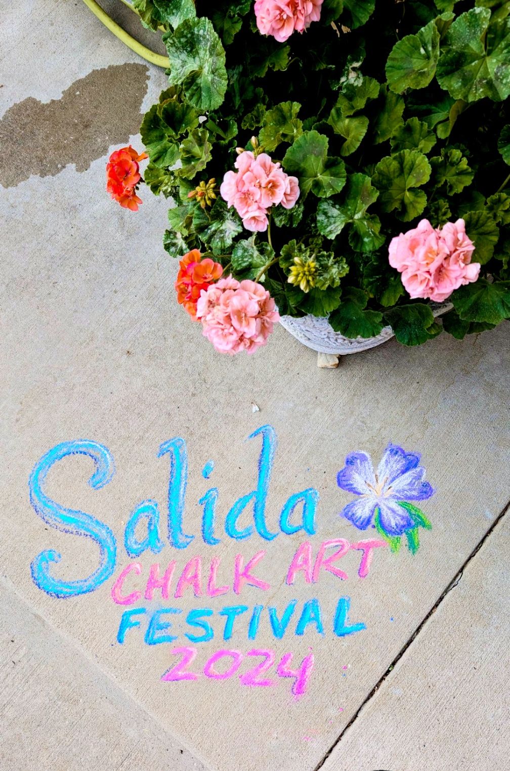 A chalk drawing on concrete that reads "Salida Chalk Art Festival 2024" with a flower and heart icon.