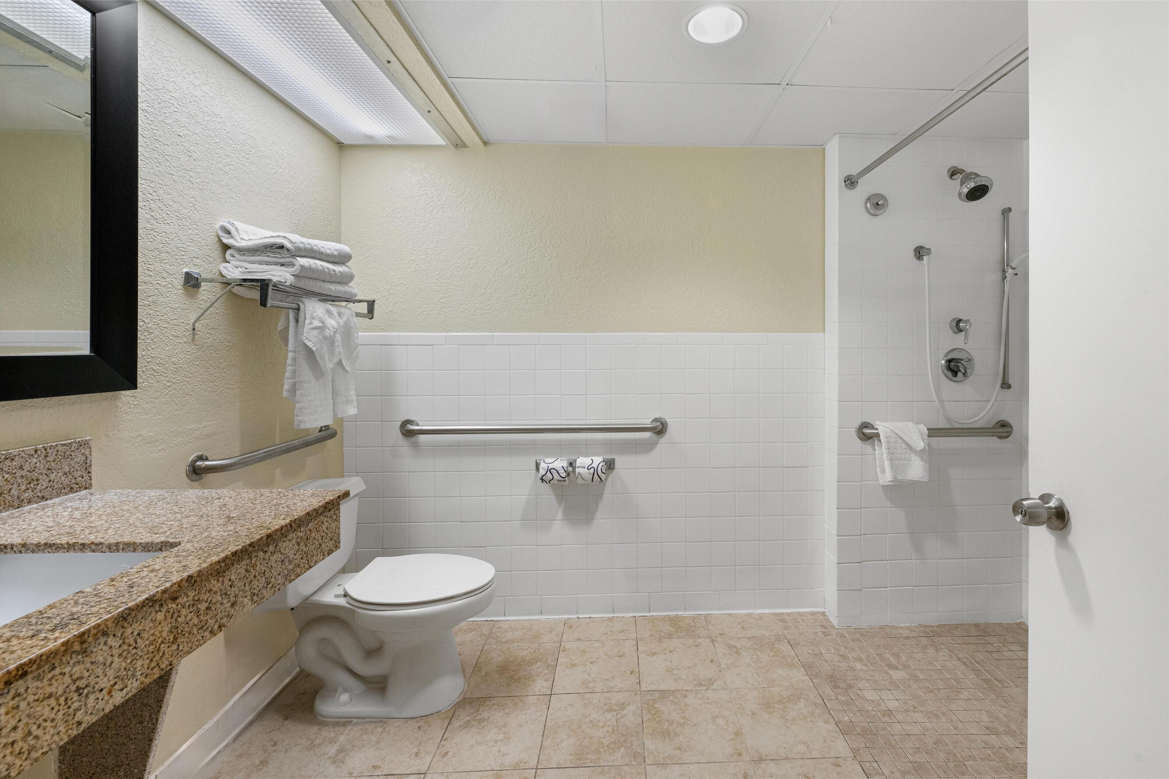 standard room, 1 king bed, accessible, refrigerator & microwave | bathroom | free toiletries, hair dryer, towels, soap