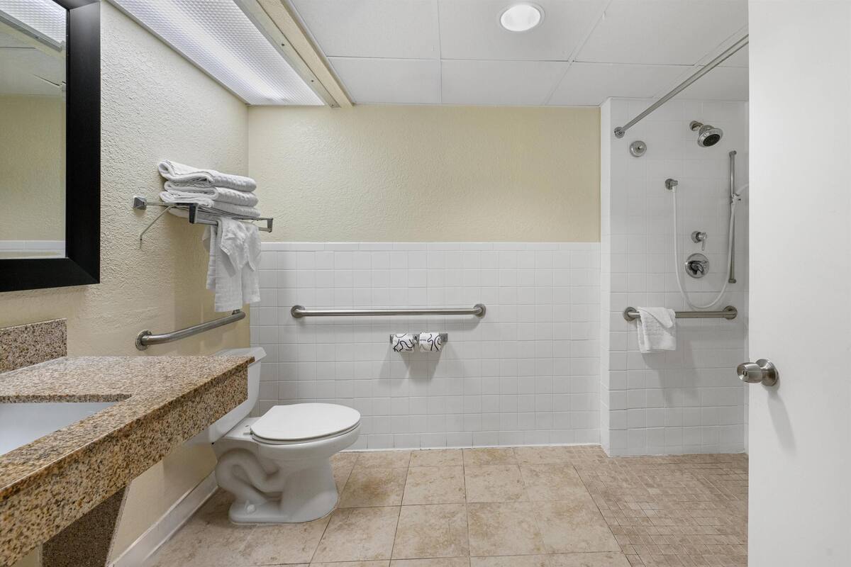 standard room, 1 king bed, accessible, refrigerator & microwave | bathroom | free toiletries, hair dryer, towels, soap