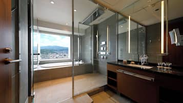 Combined shower/bathtub, free toiletries, hair dryer, slippers