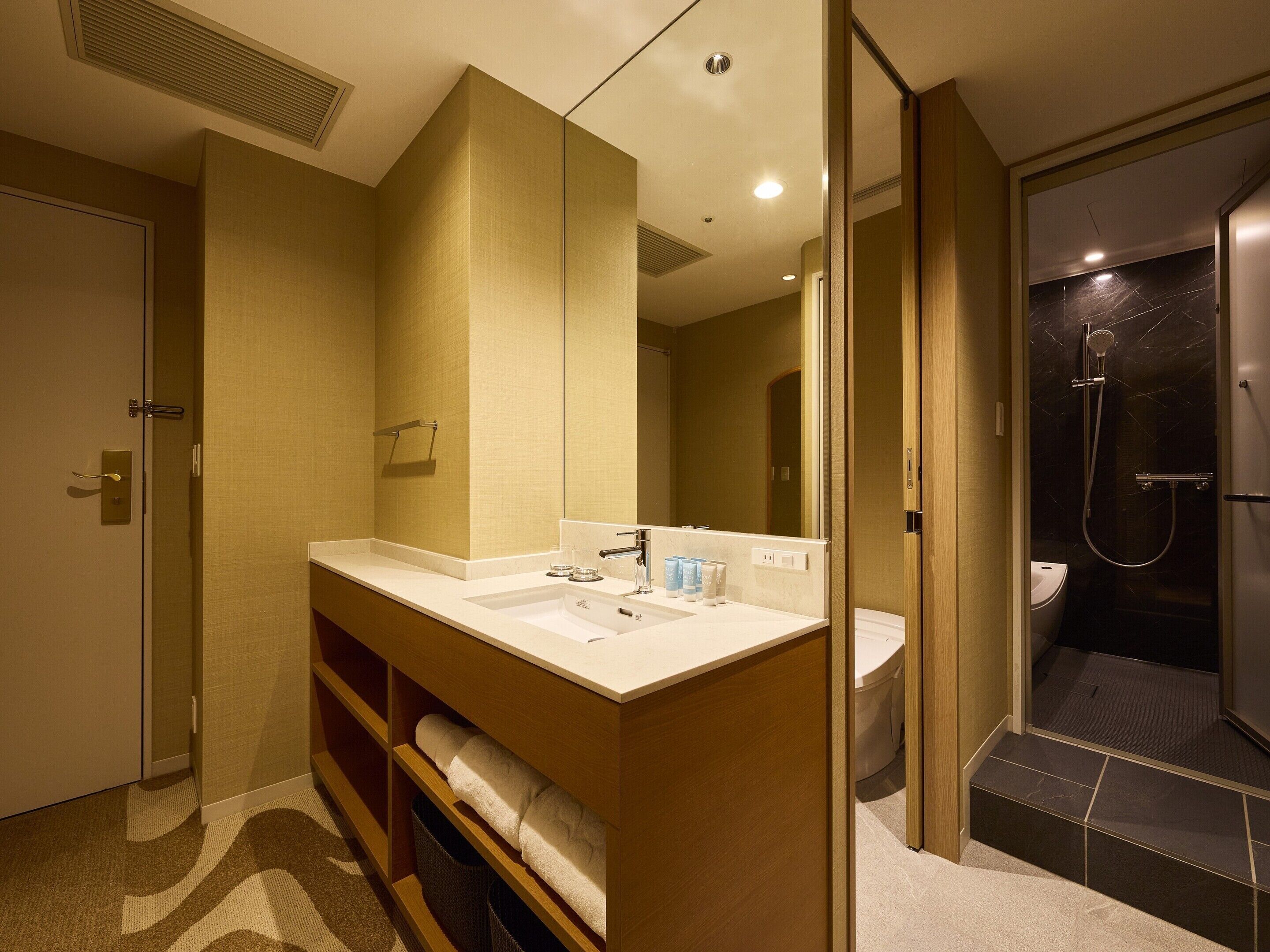Une salle de bain moderne avec un grand miroir, un lavabo et une douche.
