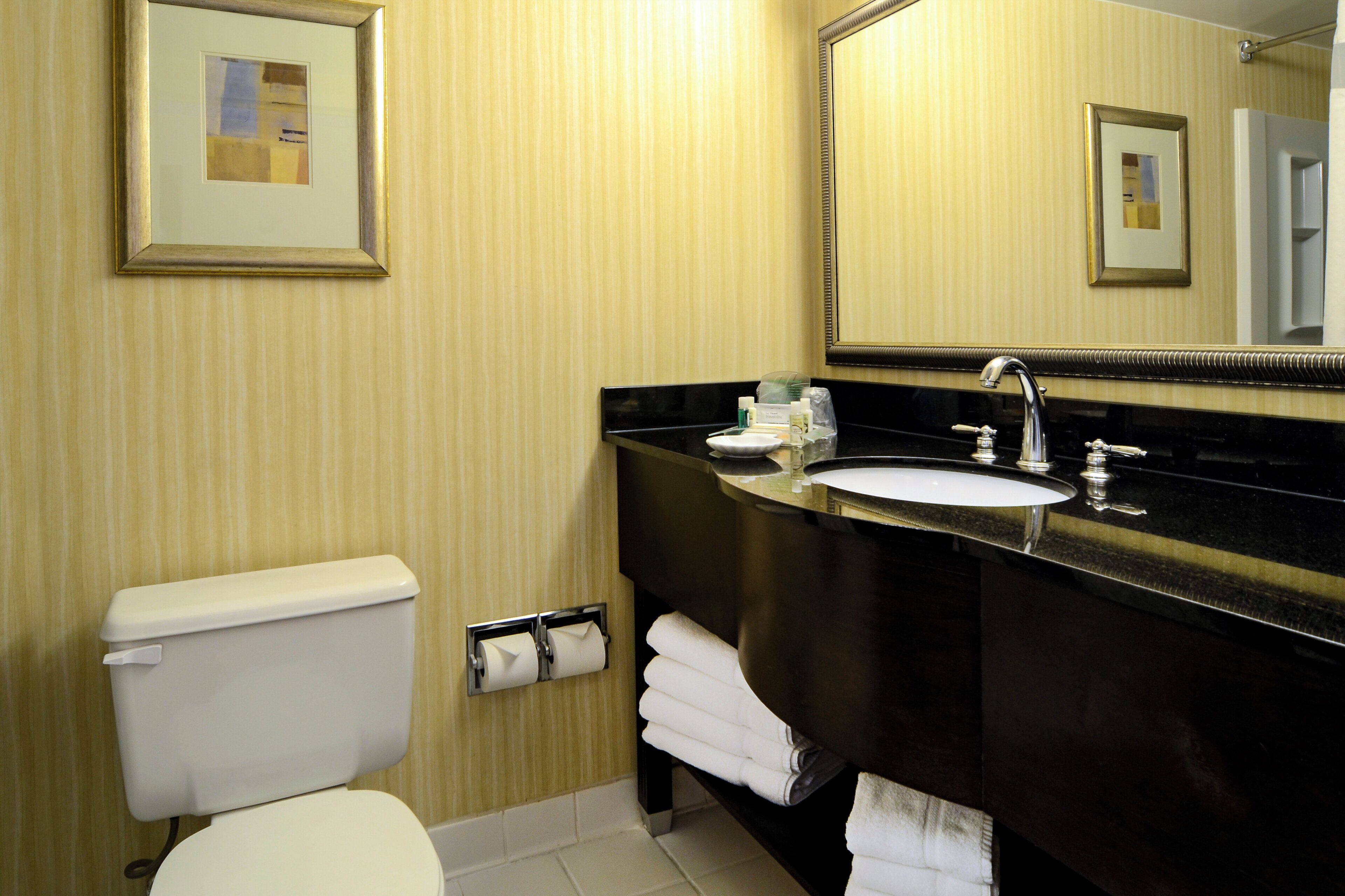 A bathroom with a toilet, sink, and mirror.