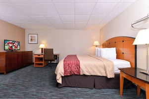 Habitación de hotel con cama, mesita de noche, lámpara, silla, escritorio, televisor y un cuadro en la pared.