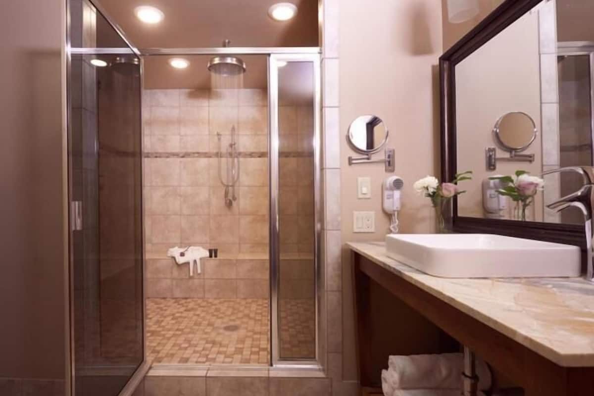 shower, hair dryer, bathrobes, towels