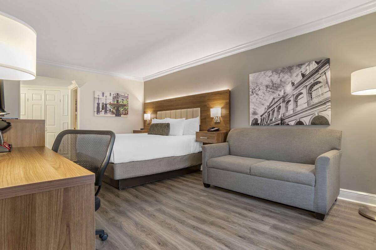 Habitación de hotel con cama, escritorio, sillón, sofá y dos lámparas de pared.