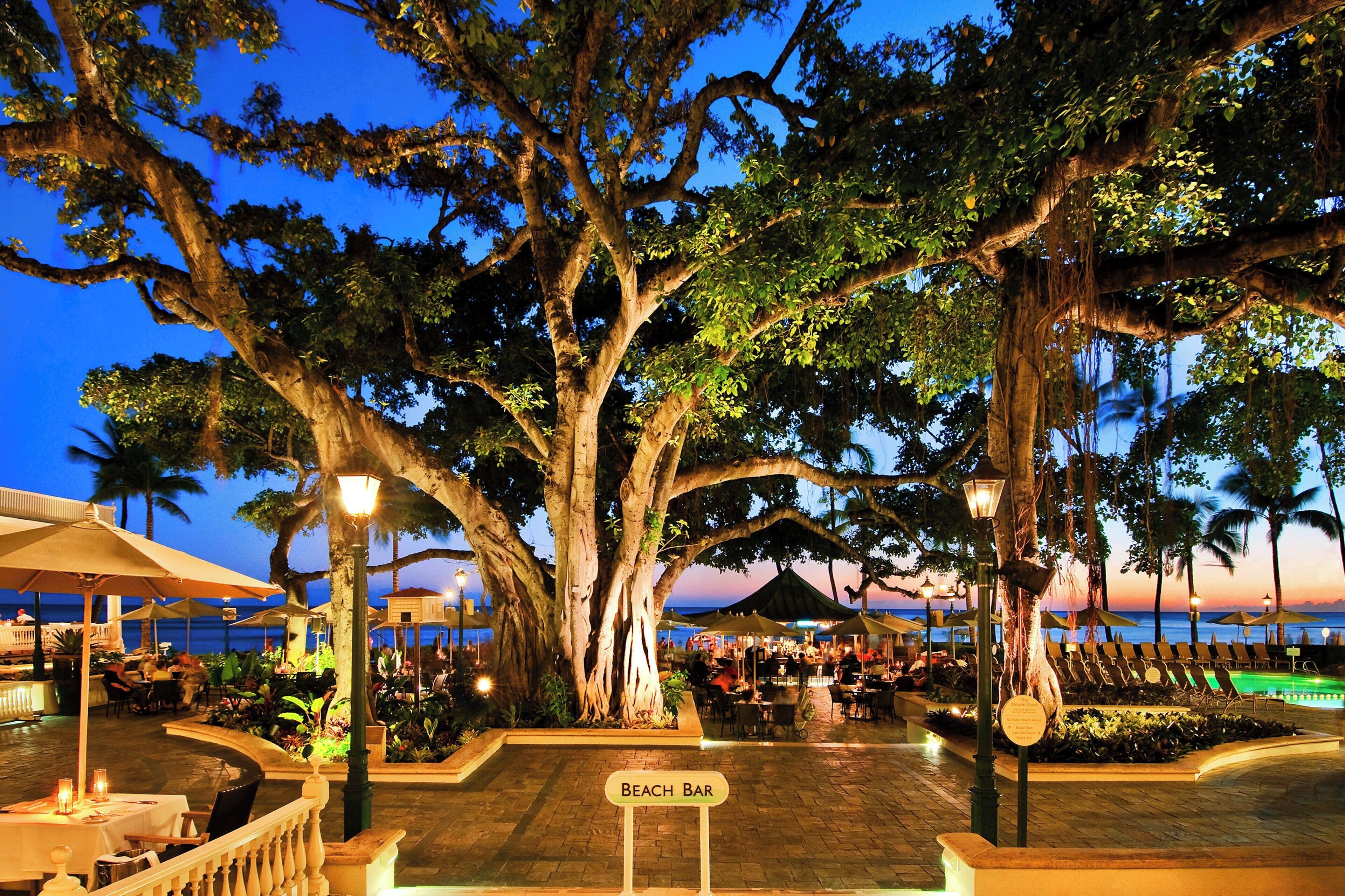 A beach bar area with outdoor seating, large trees, and a view of the ocean at dusk.