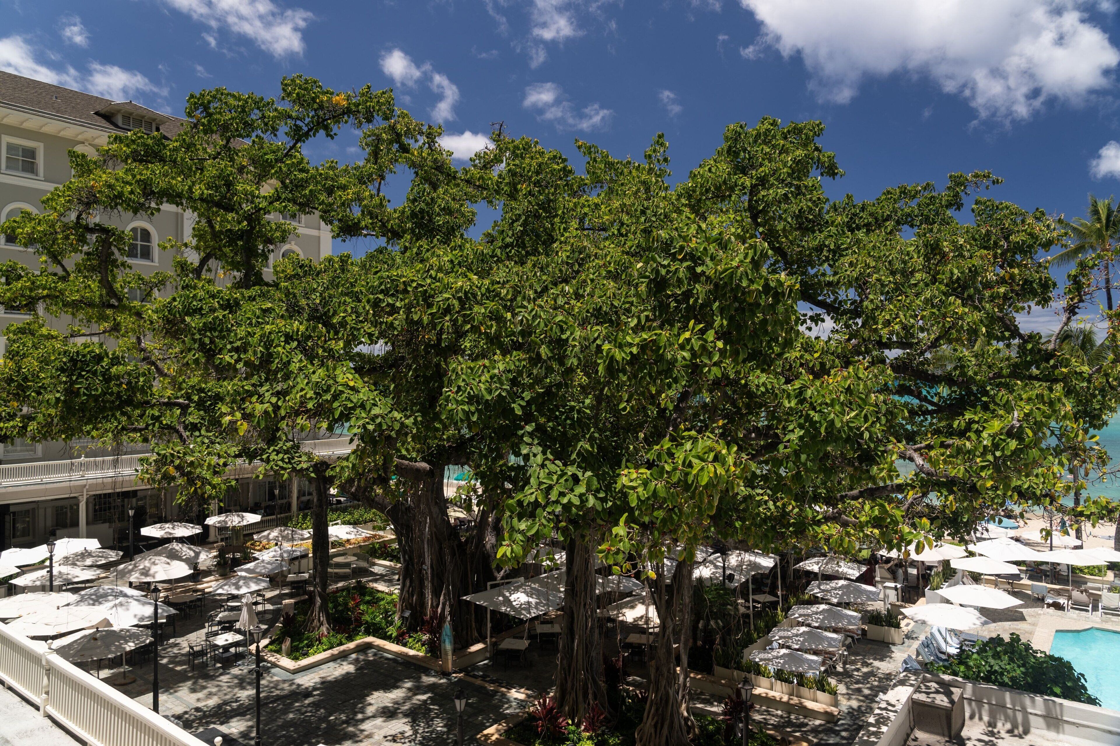 Premium bedding, pillowtop beds, in-room safe, desk