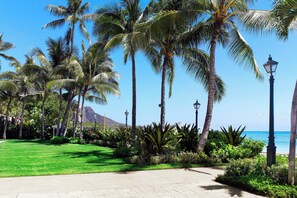A pathway lined with palm trees and a view of the ocean.