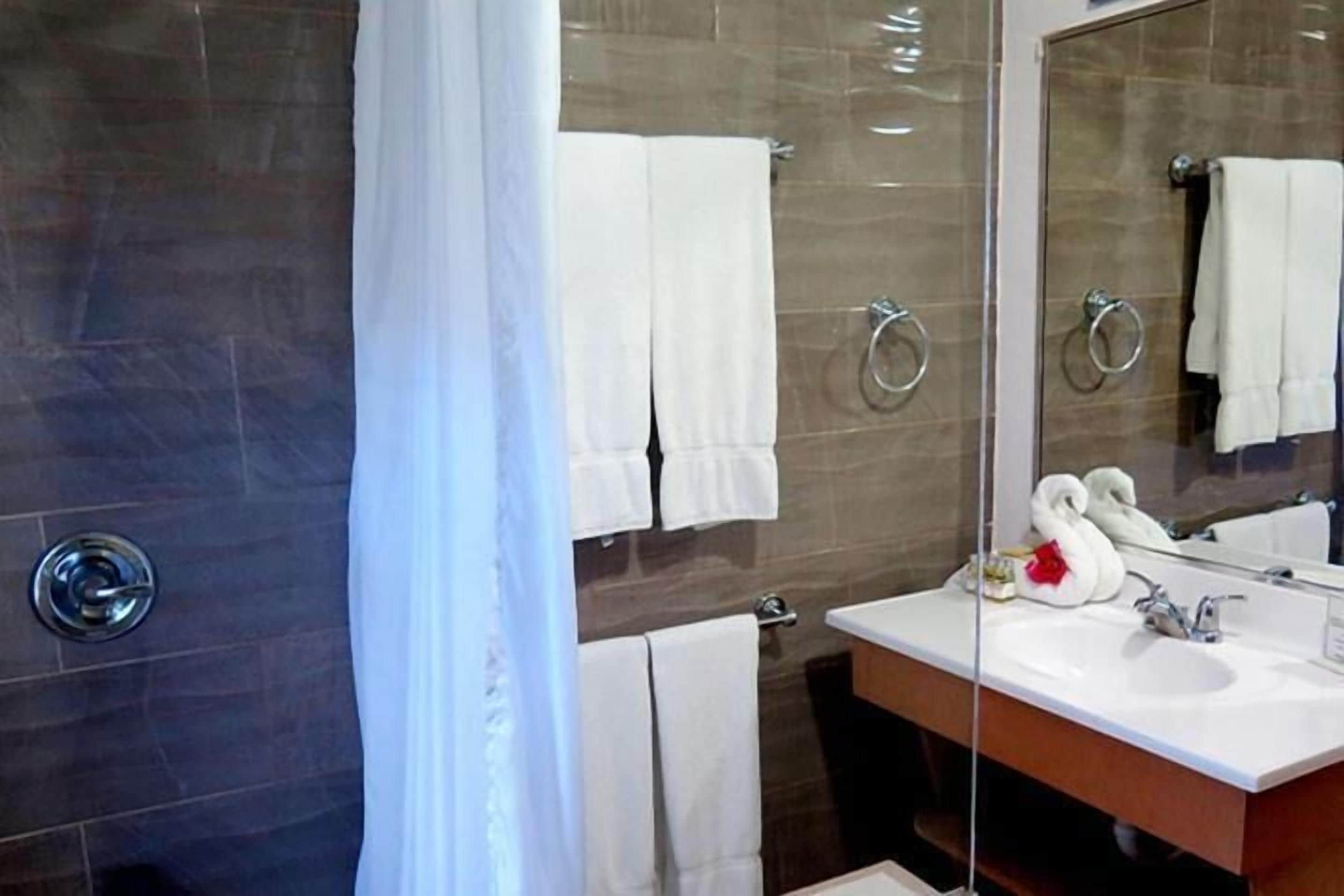 A modern bathroom with a glass shower enclosure, a white sink, and a large mirror.