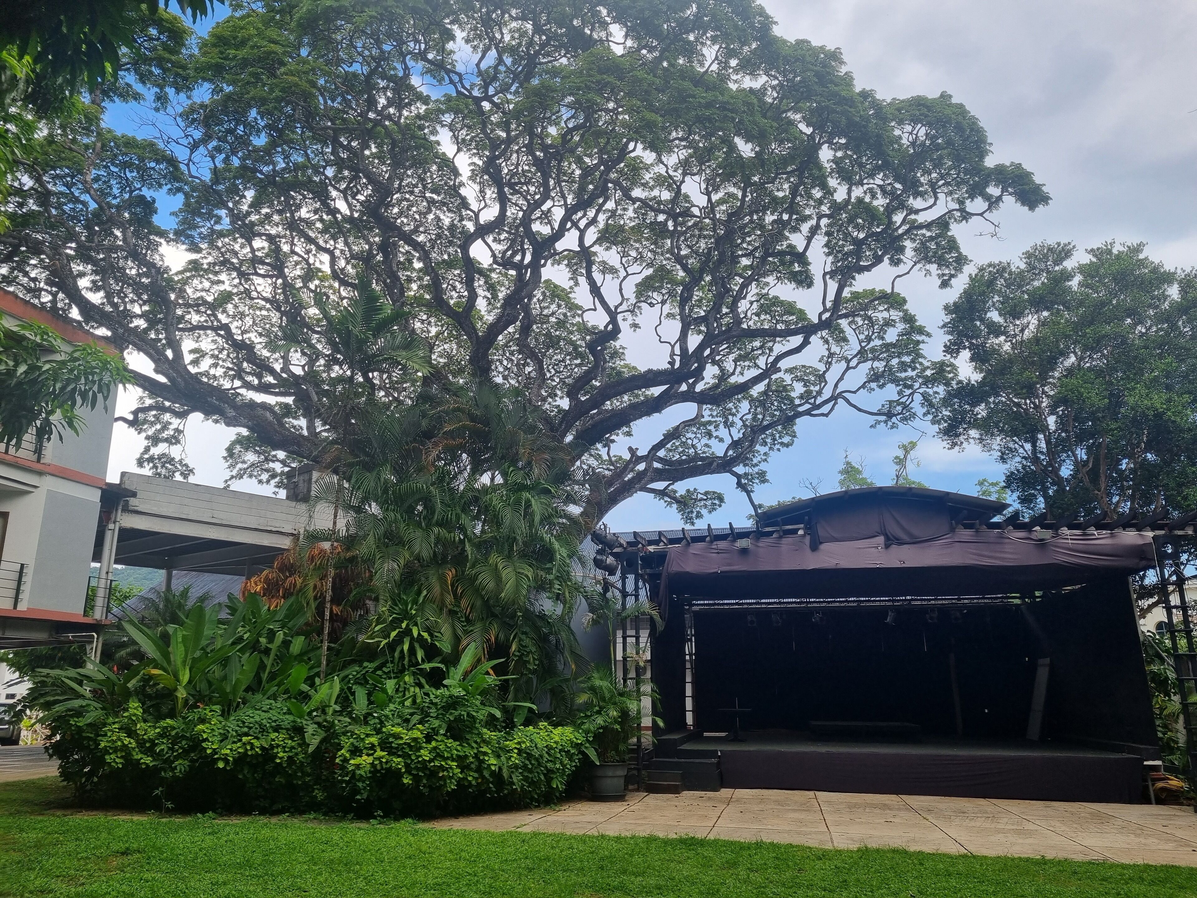 An outdoor stage with a dark backdrop, surrounded by lush greenery and large trees.
