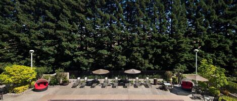 A pool area with lounge chairs and umbrellas, surrounded by trees.