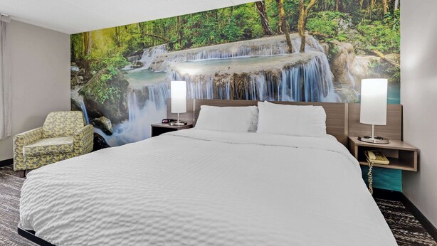 Une chambre d’hôtel avec un grand lit, une chaise, une table de chevet avec une lampe et une fresque murale représentant une cascade.