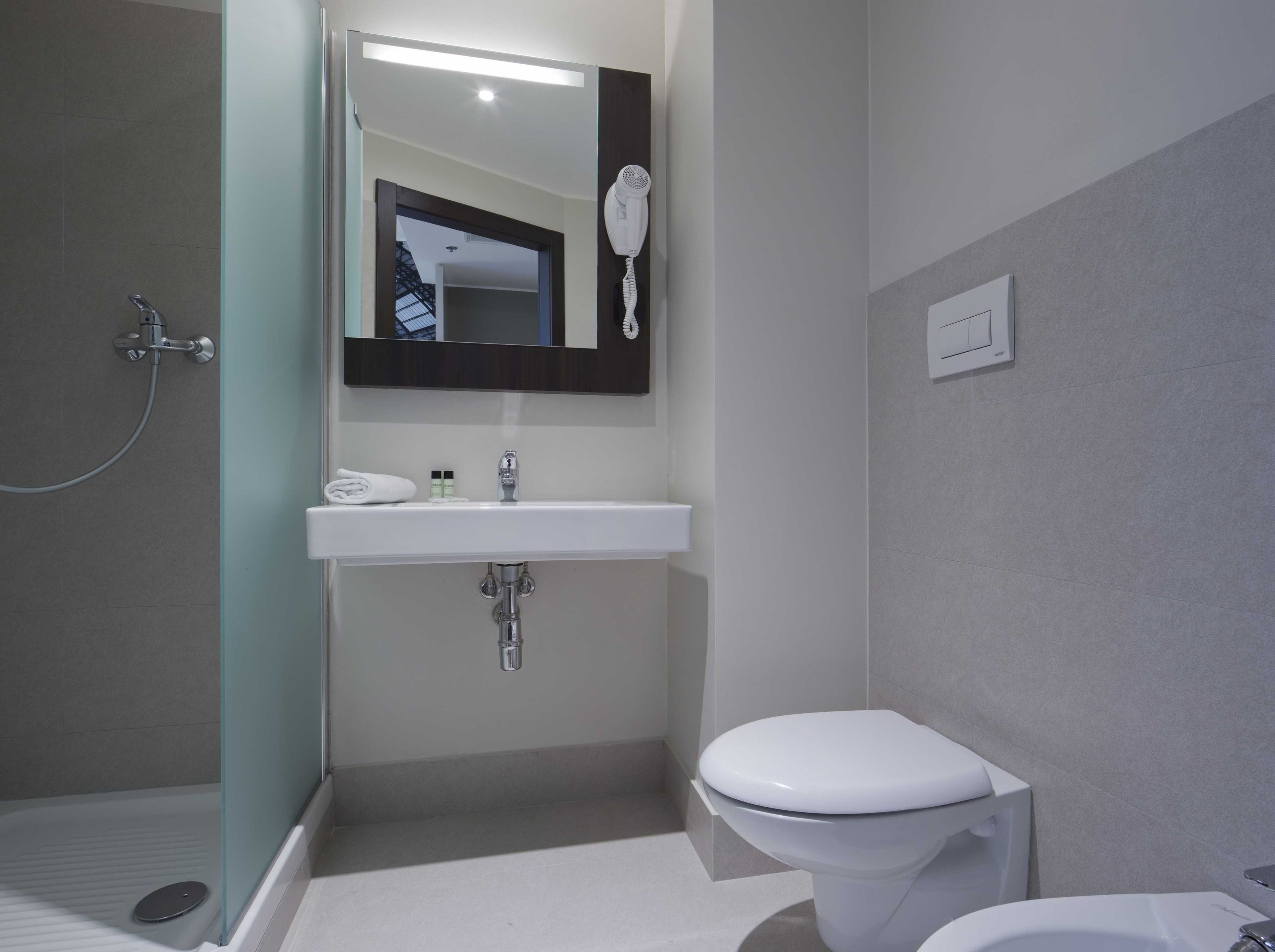 Shower, hair dryer, bidet, towels