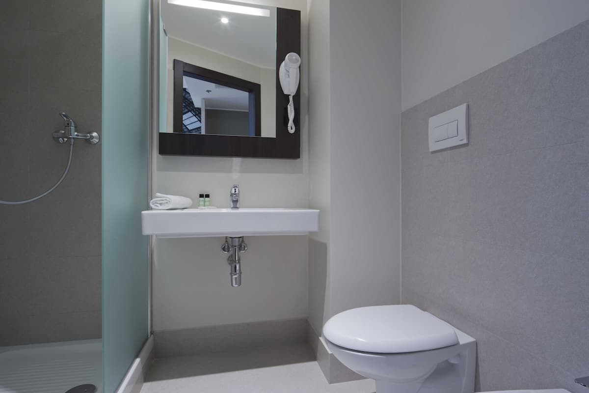 shower, hair dryer, bidet, towels