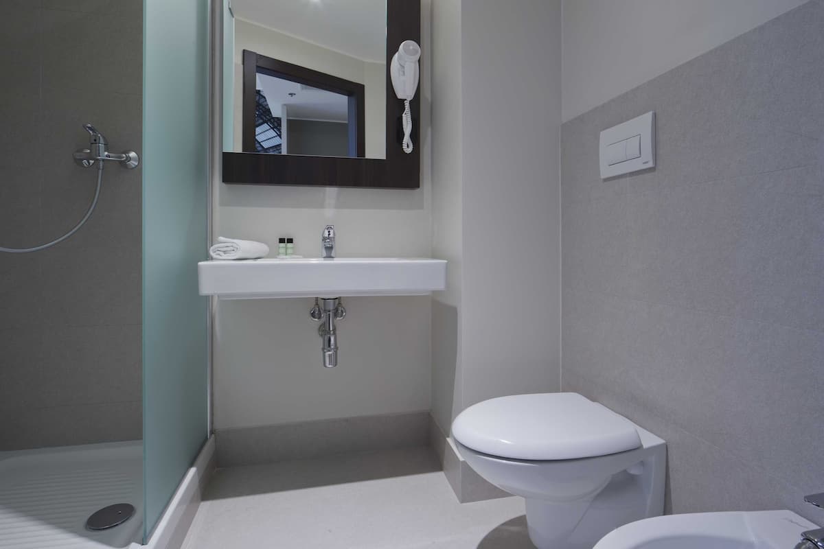 Shower, hair dryer, bidet, towels