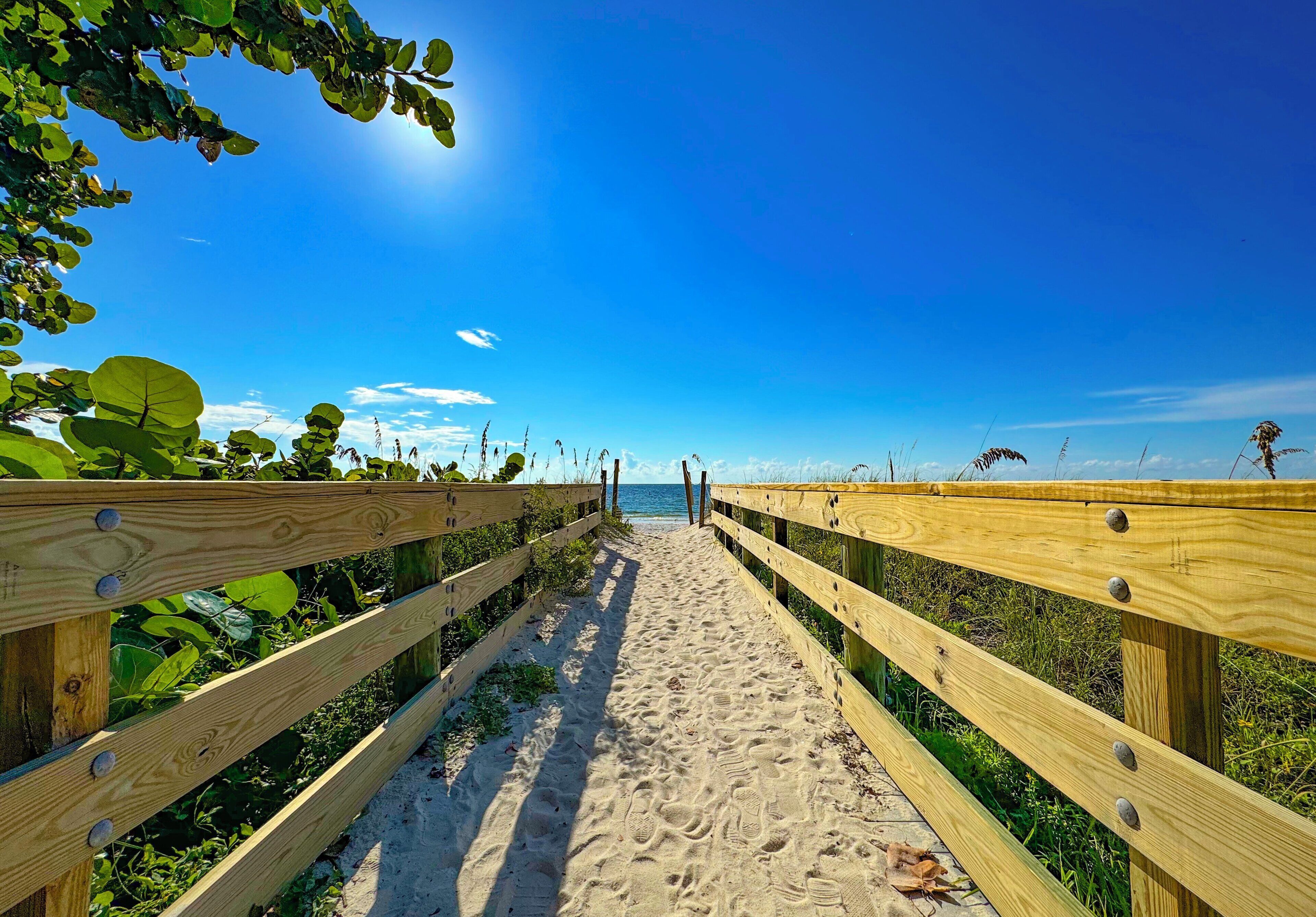 Photo - Holiday Inn & Suites Clearwater Beach S-Harbourside