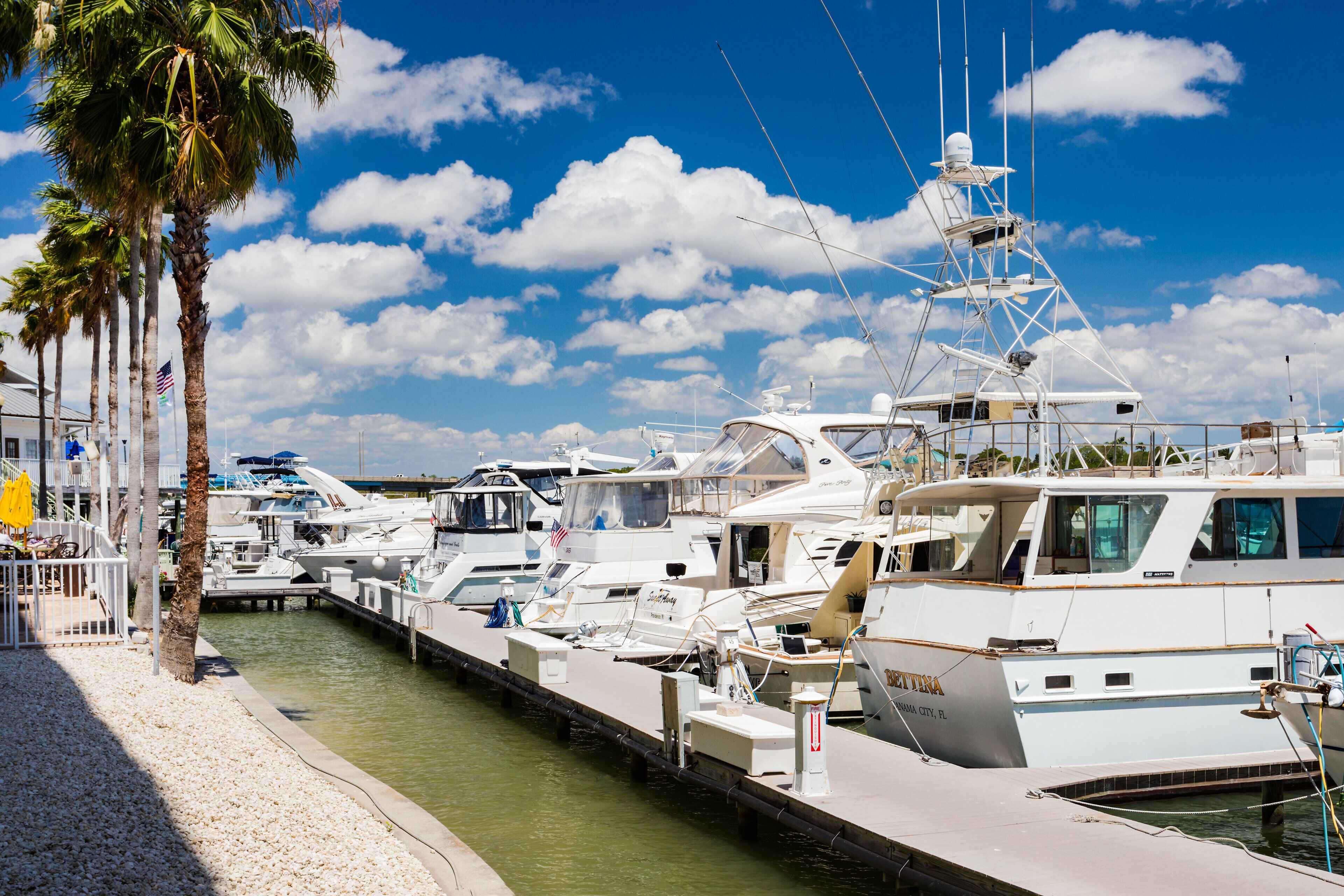A marina with multiple yachts docked, a clear sky, and palm trees along the waterfront.