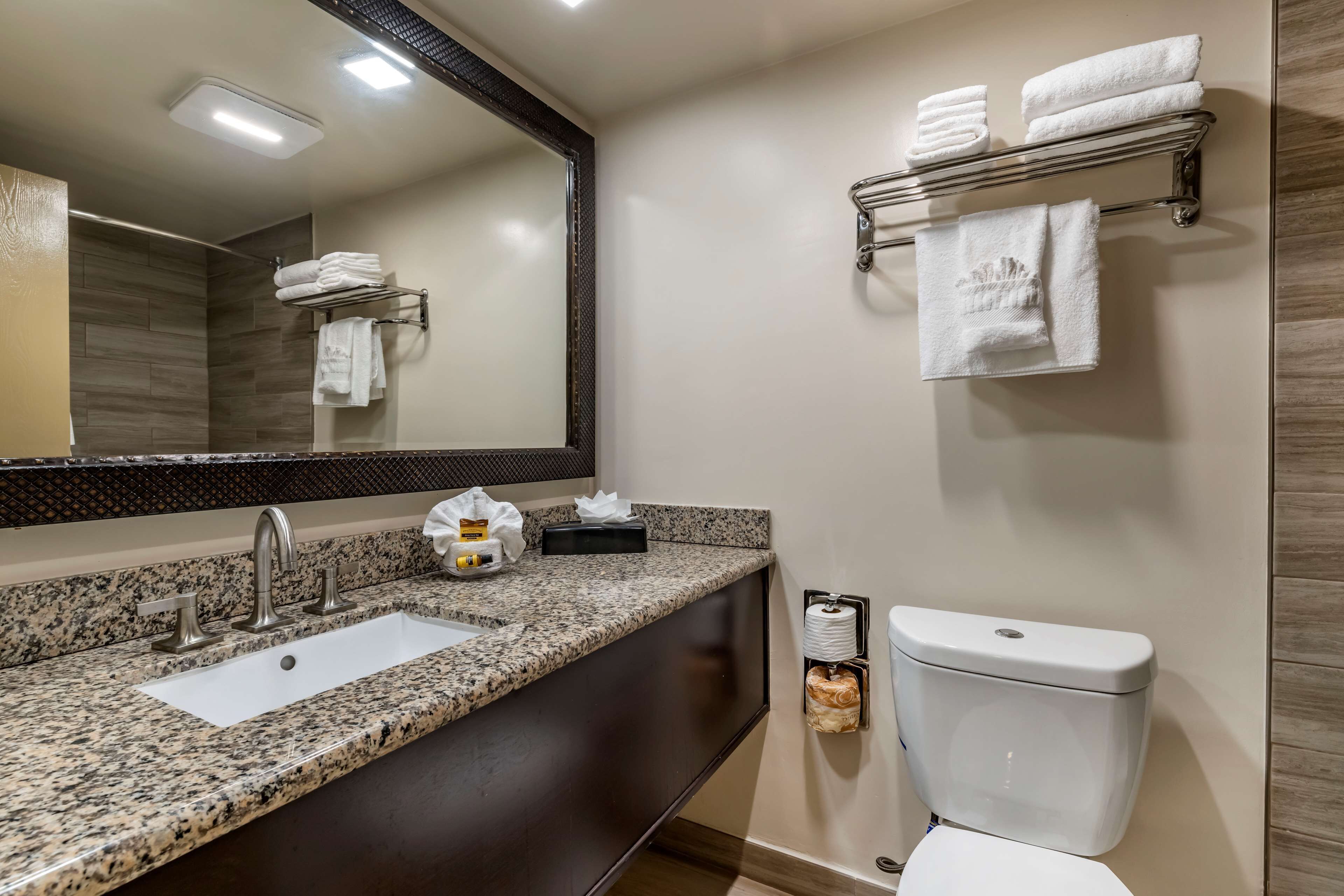 Studio Suite, 1 King Bed, Non Smoking, Refrigerator & Microwave | Bathroom | Combined shower/tub, free toiletries, hair dryer, towels