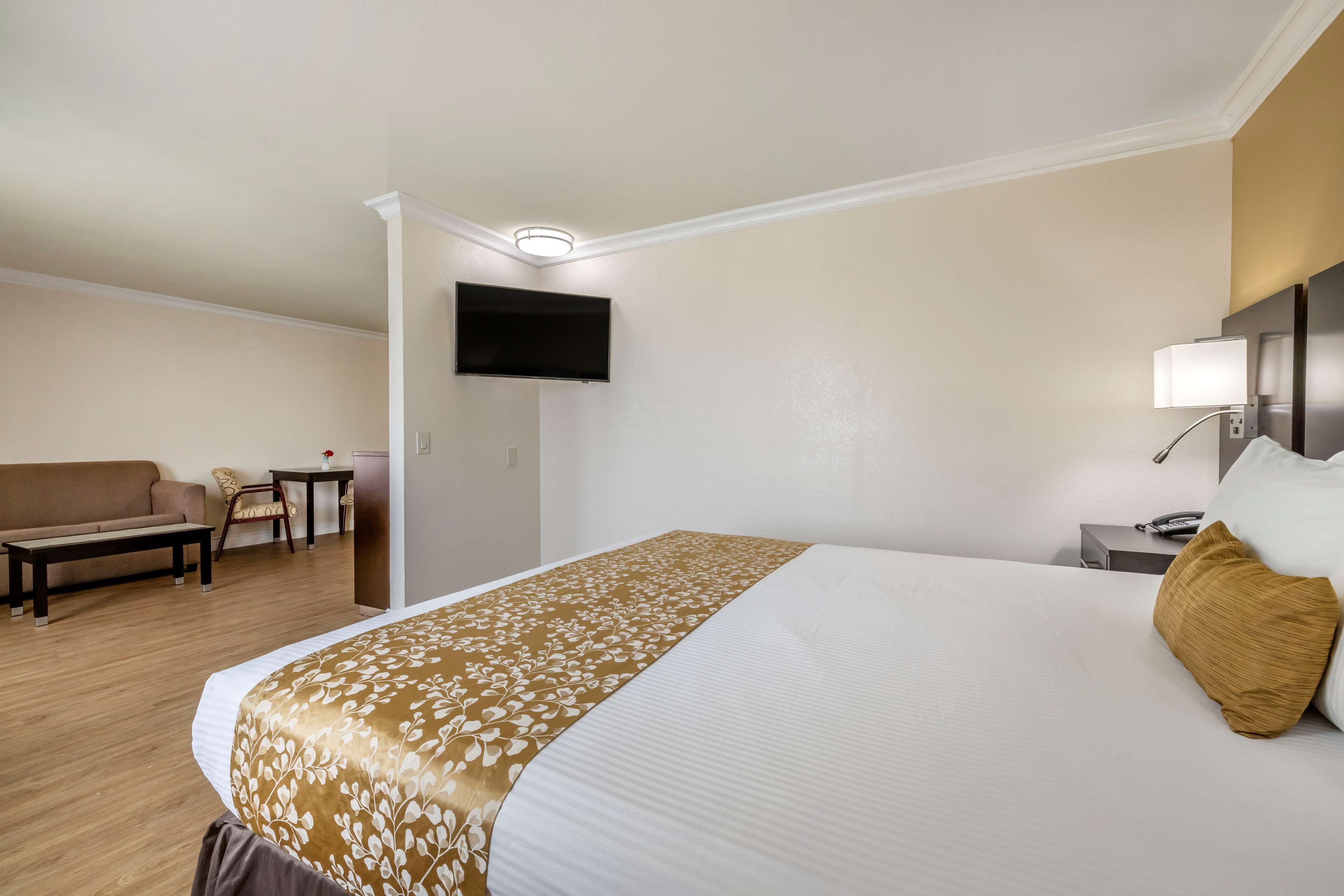 Een hotelkamer met een bed, een bureau, een stoel, een bank, een televisie en een lamp.