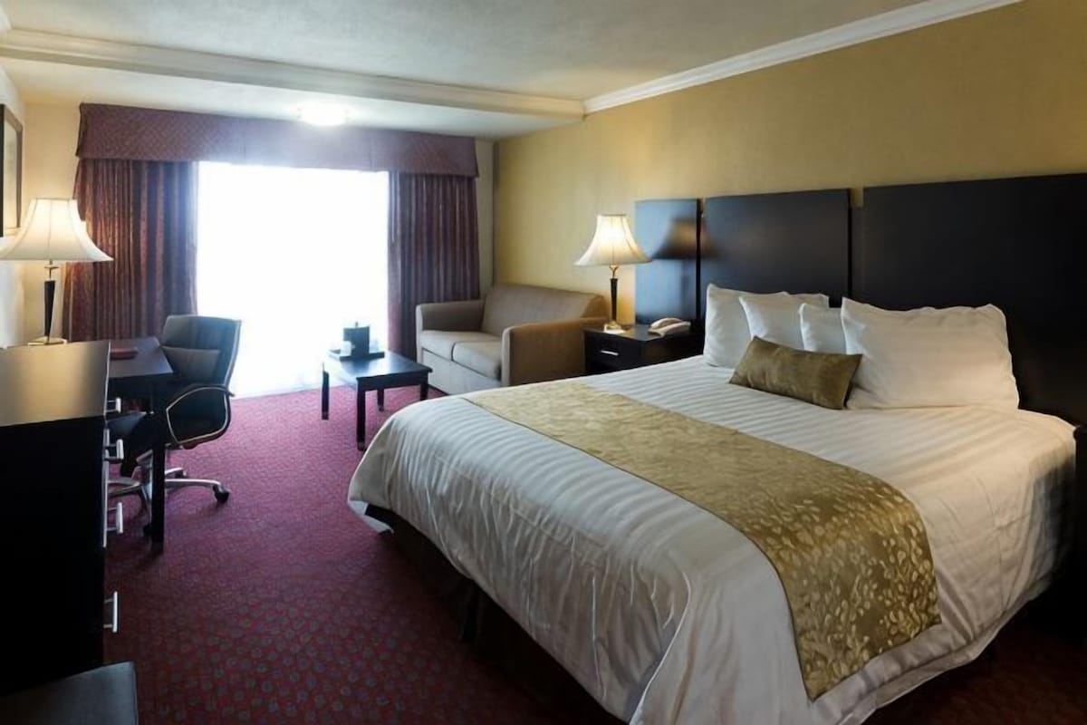 A hotel room with a large bed, a desk, a chair, a nightstand, and a lamp.