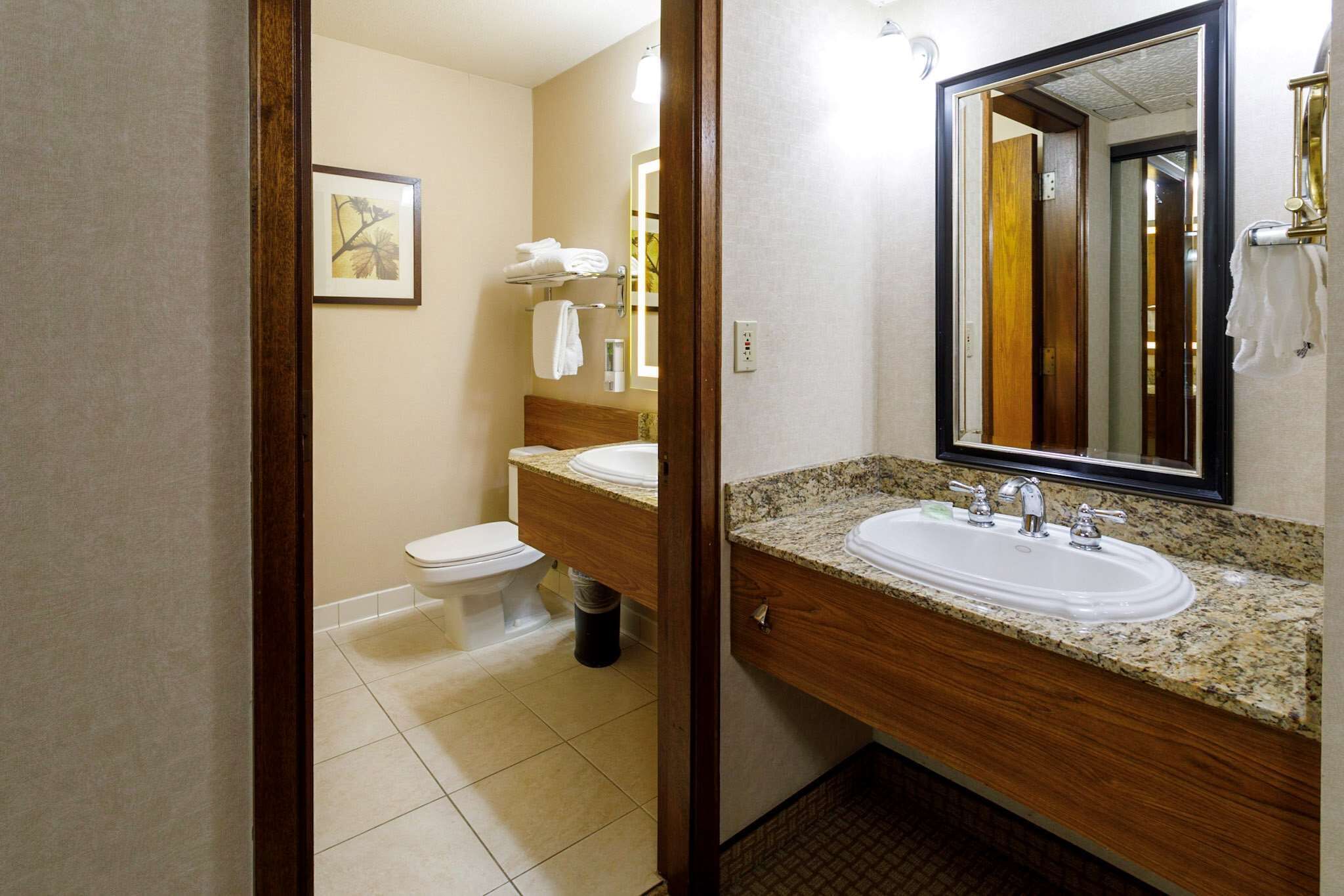 Un baño de hotel con inodoro, lavamanos y espejo.