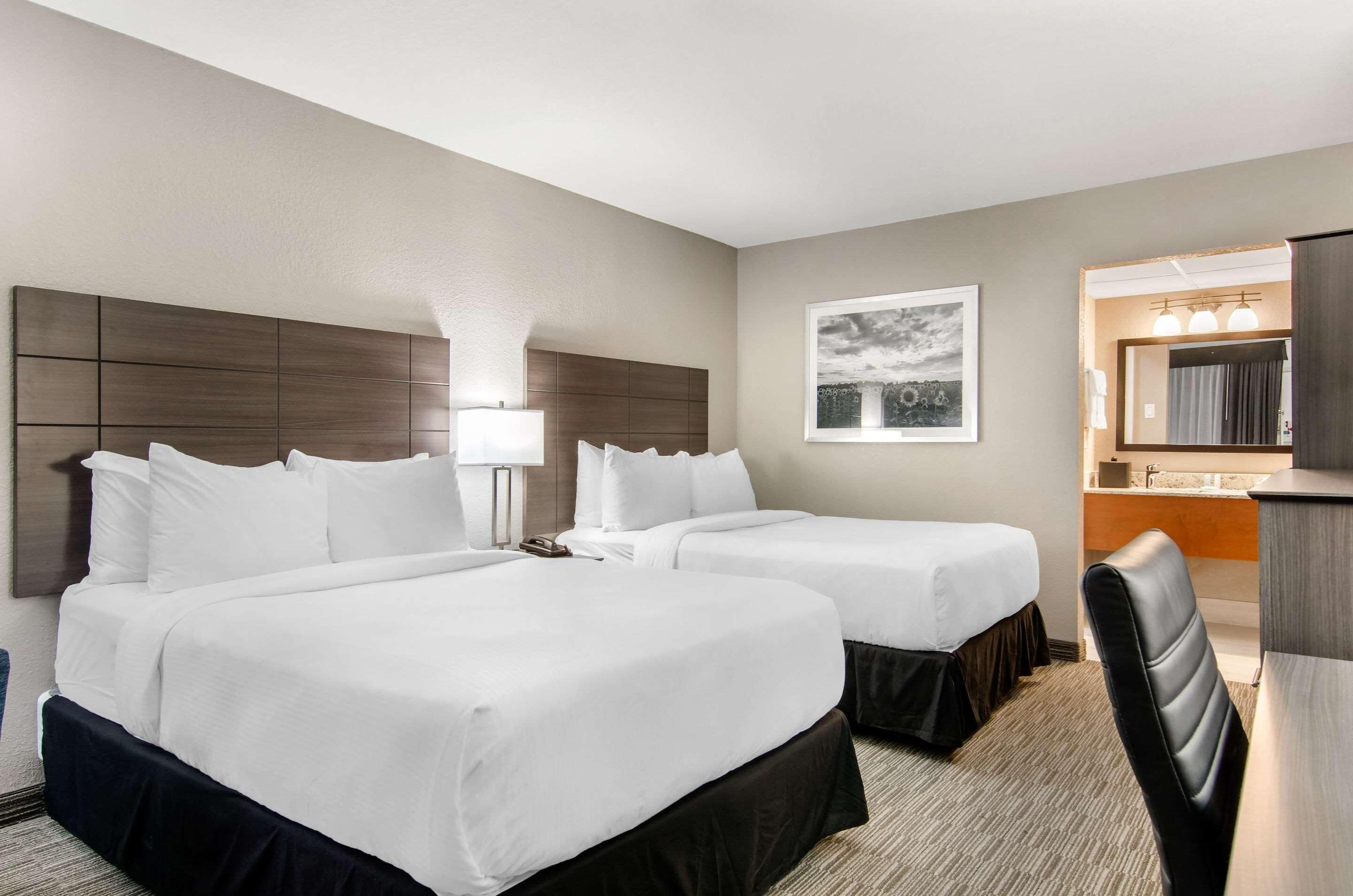 Ropa de cama de alta calidad, edredón y camas con pillow-top 