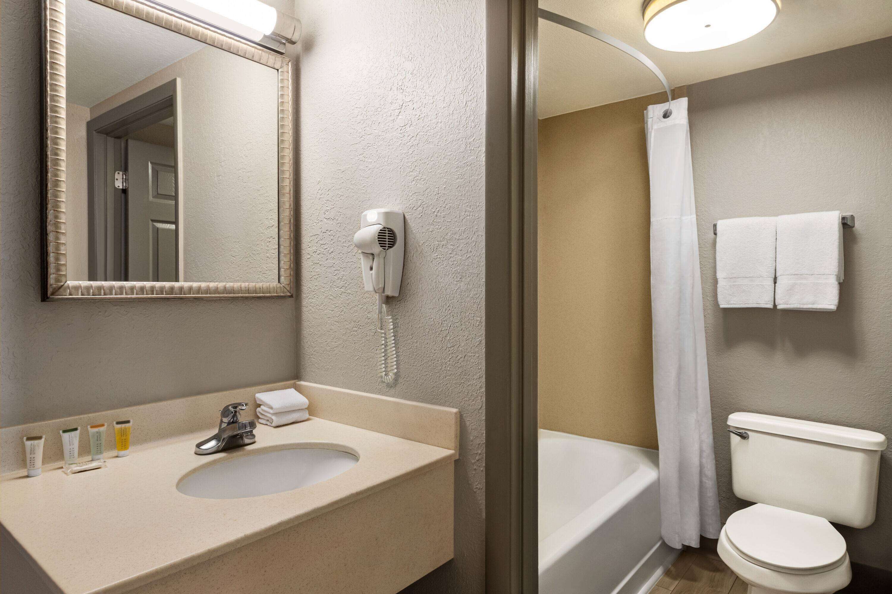 A bathroom with a sink, mirror, hairdryer, and toilet.