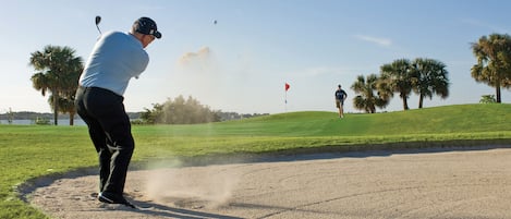 A golf course with a sand bunker, a flag, and palm trees.