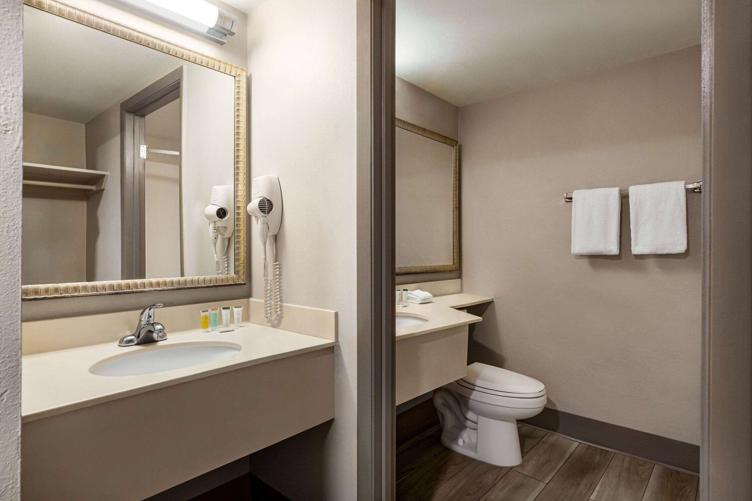A bathroom with a sink, mirror, hairdryer, and toilet.