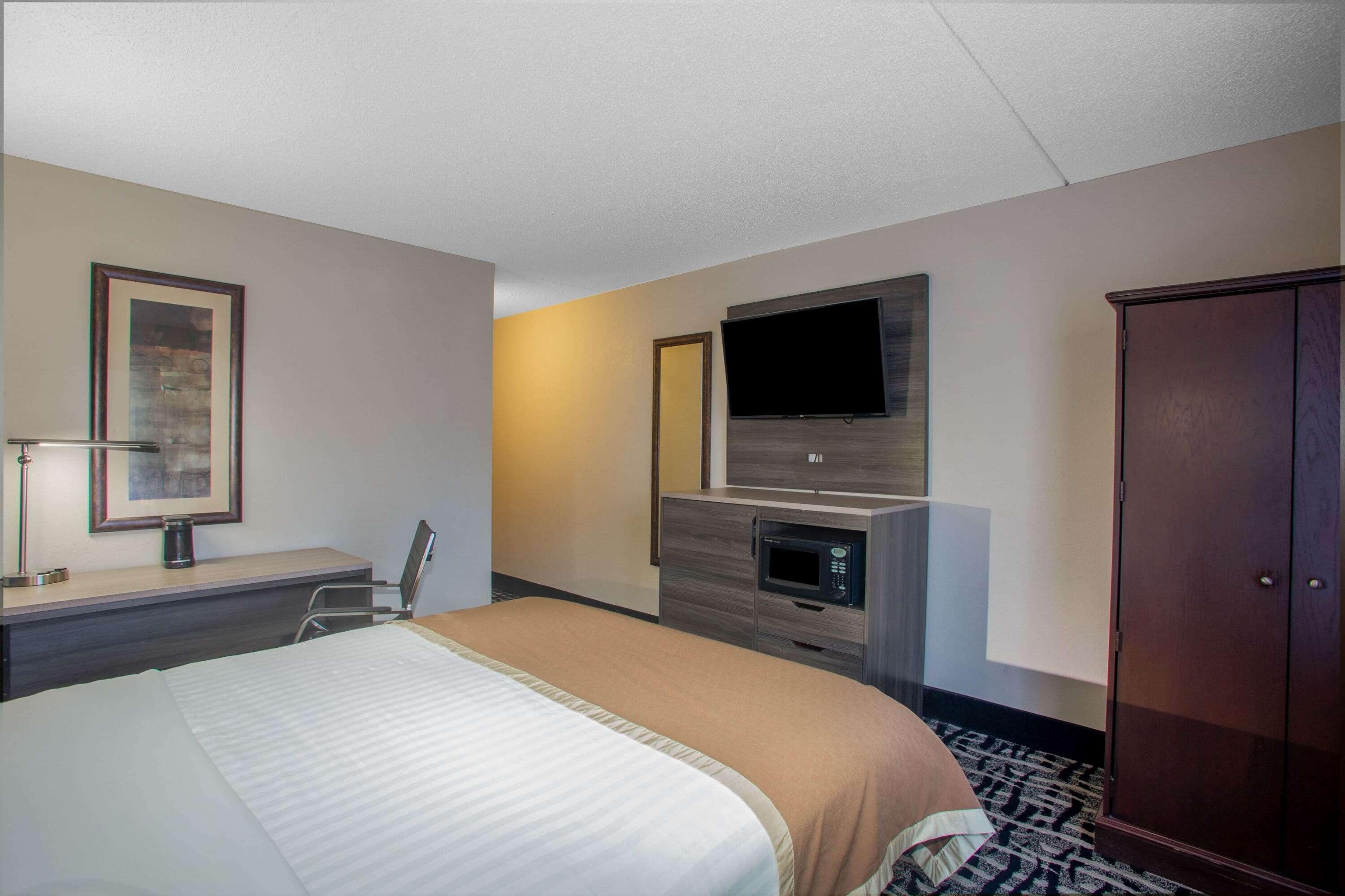 Una habitación de hotel con cama, escritorio, televisor, microondas y armario.