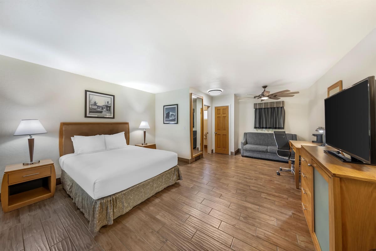 Ett hotellrum med en säng, sängbord, ett skrivbord med en tv, en takfläkt och en soffa.
