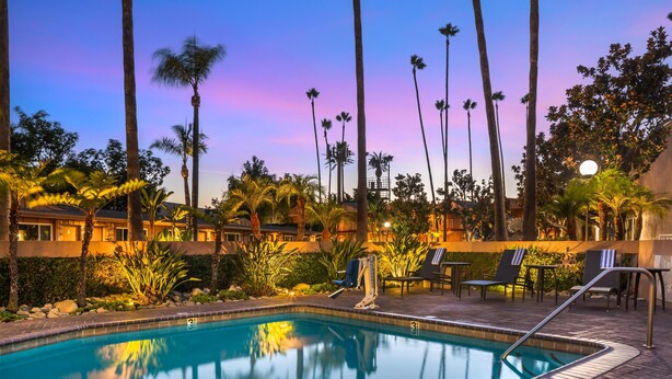 A swimming pool with lounge chairs and palm trees, surrounded by a landscaped area. - Best Western Pine Tree Motel (Chino)