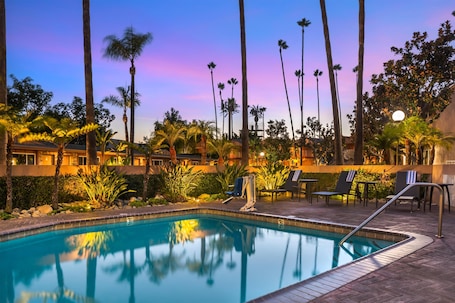 Outdoor pool. Best Western Pine Tree Motel